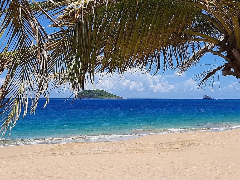 Caraibes Cottage Grenat Piscine Privee 900M De Grande Anse Deshaies Exterior foto