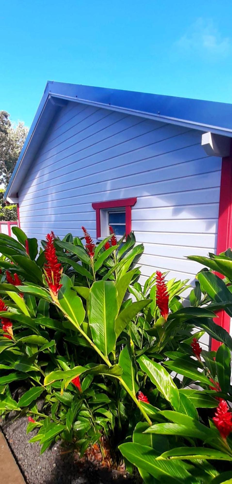 Caraibes Cottage Grenat Piscine Privee 900M De Grande Anse Deshaies Exterior foto