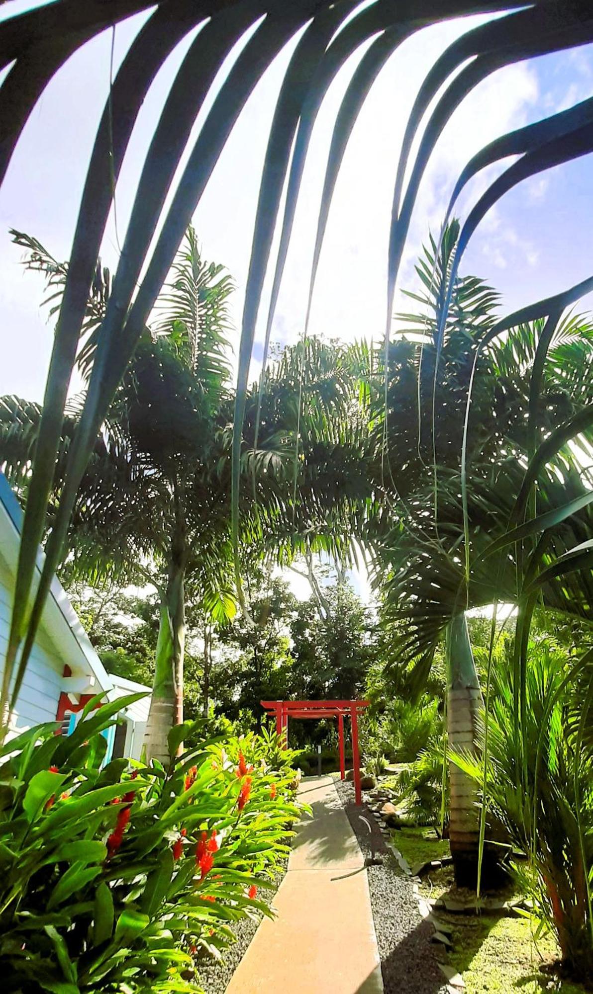 Caraibes Cottage Grenat Piscine Privee 900M De Grande Anse Deshaies Exterior foto